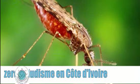 pulverisation-intra-domiciliaire-creation-d-une-force-speciale-anti-moustiques