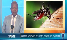 elt-jt-13-h-journee-mondiale-de-lutte-contre-le-paludisme-2020-le-point-de-la-lutte