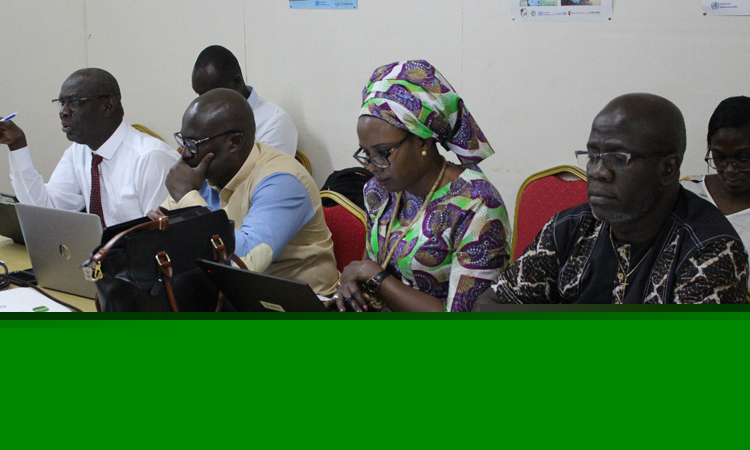 LUTTE CONTRE LE PALUDISME : ELABORATION DU PLAN STRATEGIQUE NATIONAL 2021-2025 :  LA CÔTE D'IVOIRE VERS LA PREELIMINATION