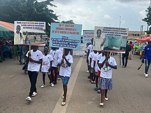 feanacmis-2023-la-lutte-contre-le-paludisme-au-centre-du-festival