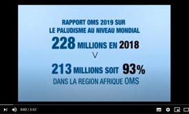 CAMPAGNE DE DISTRIBUTION DES MOUSTIQUAIRES CE QUI VA CHANGER